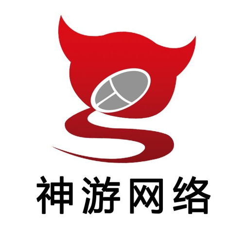 温州神游网络科技与晗天网络科技 双星共耀数字温州